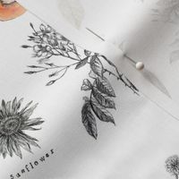 Spoonflower_Botanical