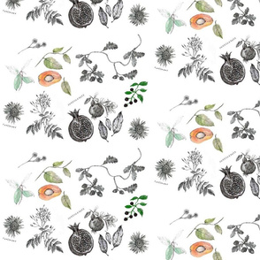 Spoonflower_Botanical