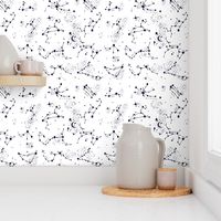 Zodiac Constellations in Moonbeam White