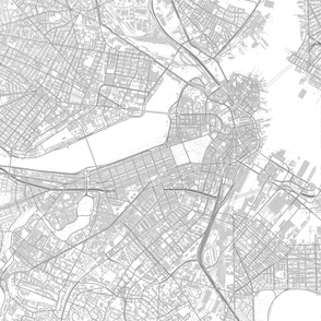 Boston map drawing *blanket sized*