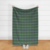 Green with Blue Madras Style Plaid