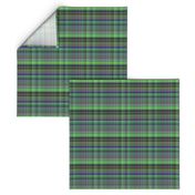 Green with Blue Madras Style Plaid