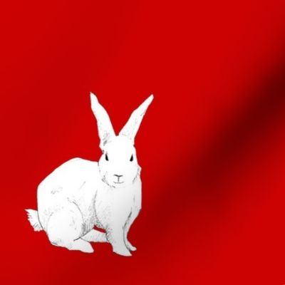 Rabbit red