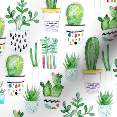 Watercolour Succulents, Cactus