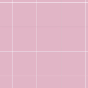 blush_and_grid_750