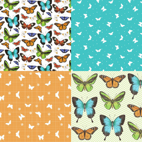 Butterflies Coordinate