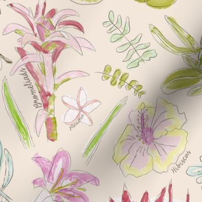 Botanical Sketchbook of Maui Florals