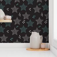 Twinkle twinkle little star cute baby nursery or christmas theme print in black white and blue night