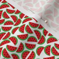 Summer Watermelon Pattern