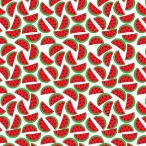 Summer Watermelon Pattern