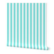 turquoise white 1 inch stripe