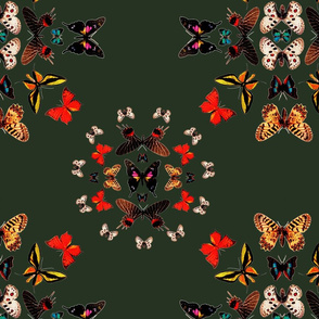 Radial Butterfly Pattern