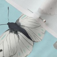white butterflies