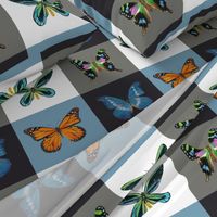 Butterfly Paintings by Angela