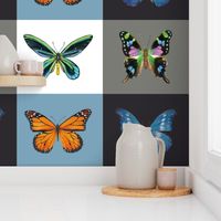 Butterfly Paintings by Angela