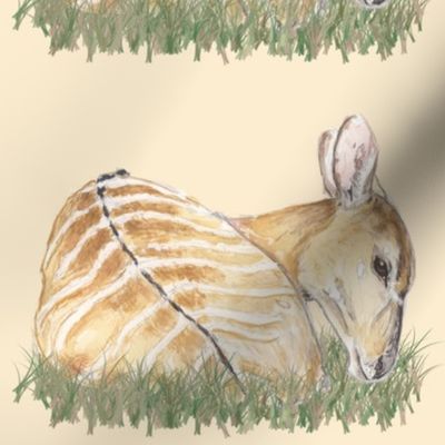 Nyala Antelope, Watercolor, Grassy