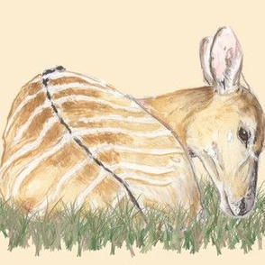 Nyala Antelope, Watercolor, Grassy