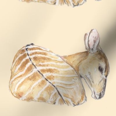 Nyala Antelope, Watercolor