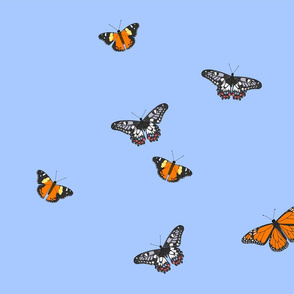 Butterfly Skies 2015