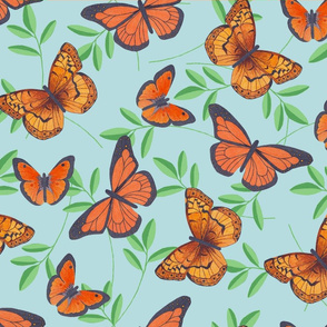 Joy's butterflies collection