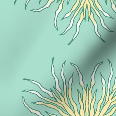 Kelp (mint flora)