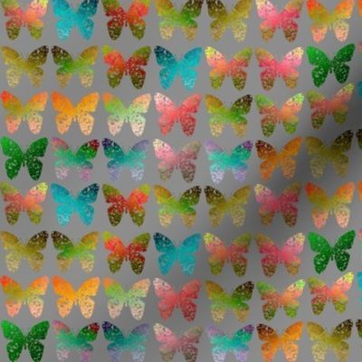 Fall multicolored butterflies on gray by Su_G_©SuSchaefer