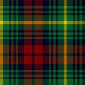 Martin tartan, 6" modern colors