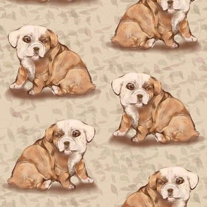 Bulldog Puppy with viny background