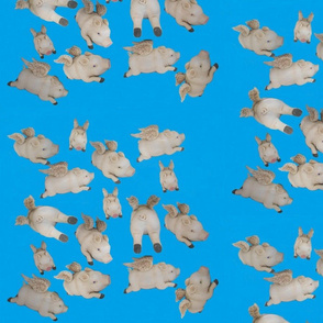 flying pigs with blue sky