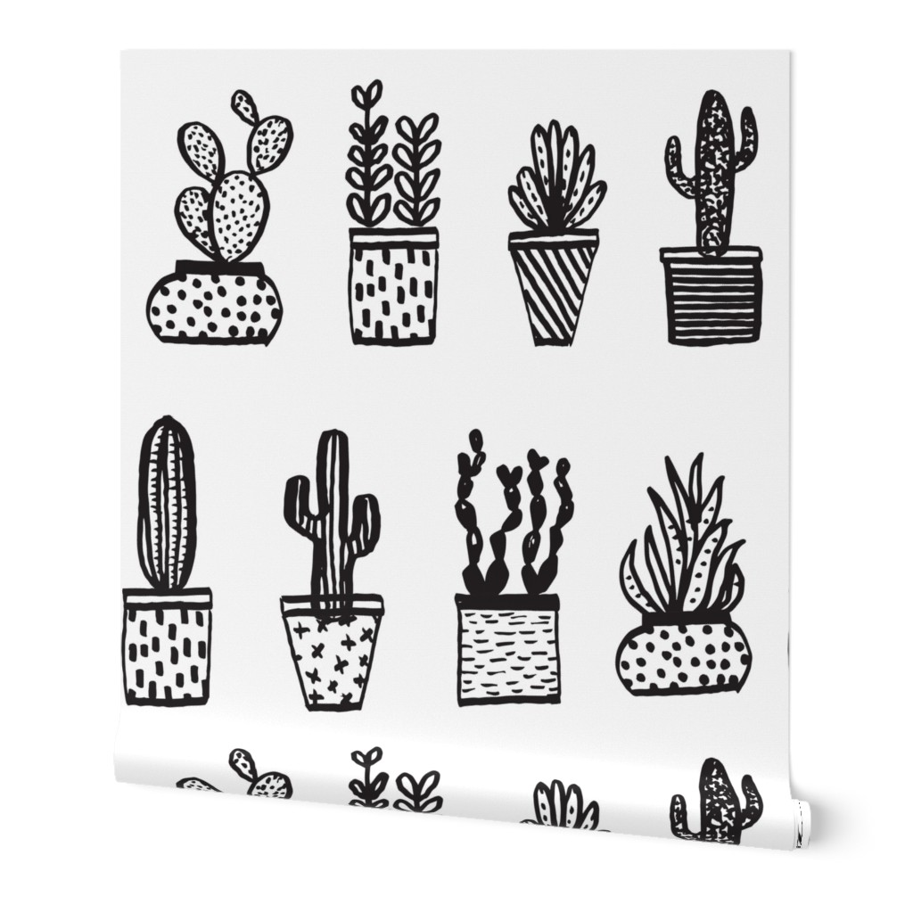 cactus // potted plants houseplants mini black and white plants cacti 