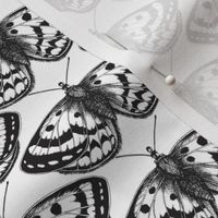 Monochrome Flutterings