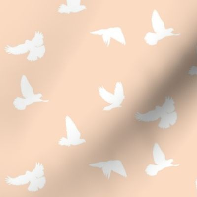 Doves in Flight, Peach Blush for Desert Meadow Collection