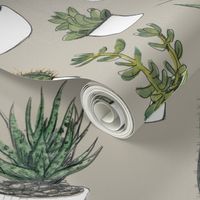 Watercolor Cacti & Succulents on Beige