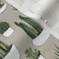 Watercolor Cacti & Succulents on Beige