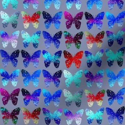 Blue and multicolored butterflies by Su_G_©SuSchaefer