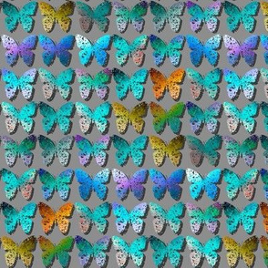 Darkly shadowed turquoise + multicolored butterflies by Su_G_©SuSchaefer