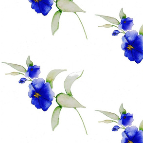 Royal Blue Flowers