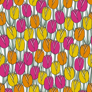 Tulip Field