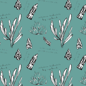 Owyhee Count Field Journal Fabric in Teal