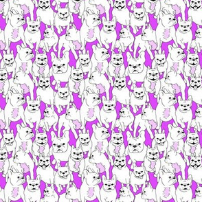 French Bulldog Madness MINI PRINT (Purple/White)