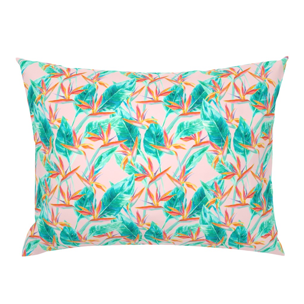 Birds of Paradise Blush