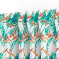 Birds of Paradise White