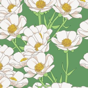 Mount Cook Buttercup Flowers Custom Colourway