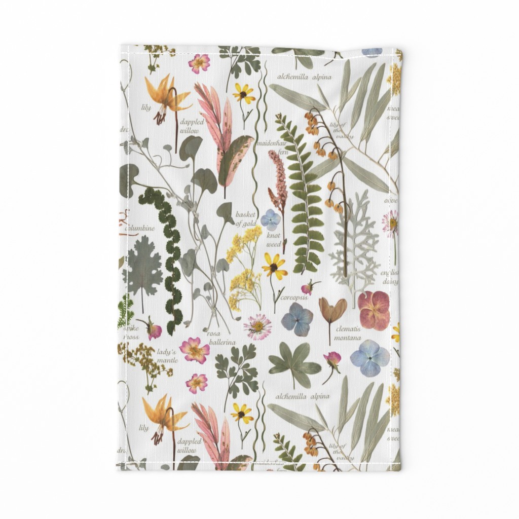 Collectors Garden Sketchbook lg w text