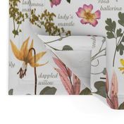 Collectors Garden Sketchbook lg w text