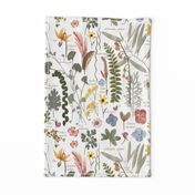 Collectors Garden Sketchbook lg w text