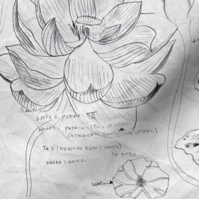 Lotus_Study_paper