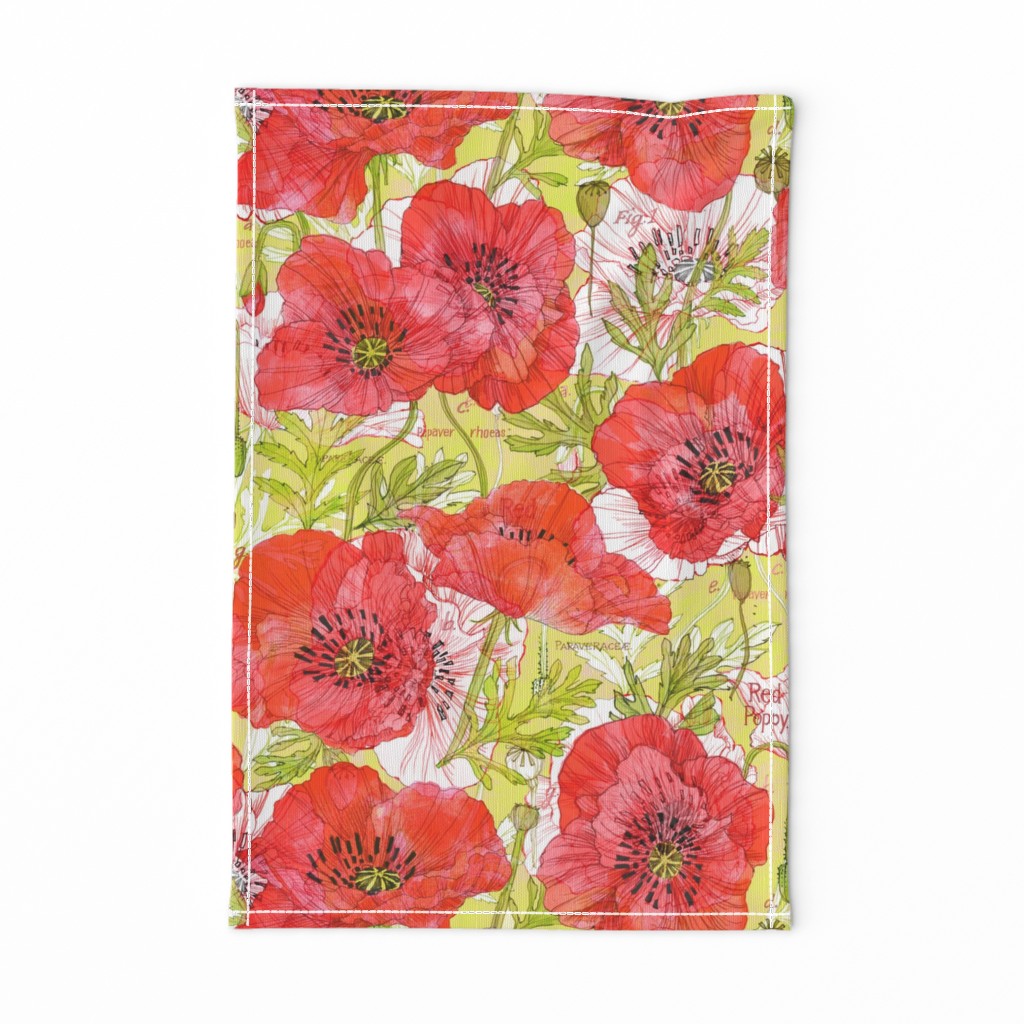 Romance Poppies Botanical Sketchbook