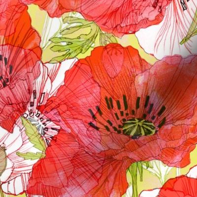 Romance Poppies Botanical Sketchbook