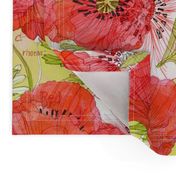 Romance Poppies Botanical Sketchbook